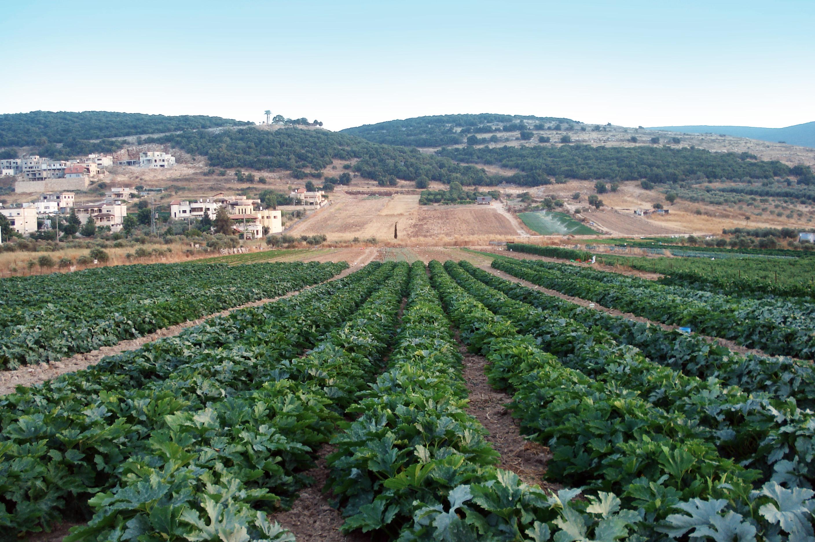 Israeli Innovation in Natural Agriculture Pest Control