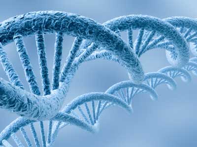 Israeli Scientists Discover ‘Life Gene’