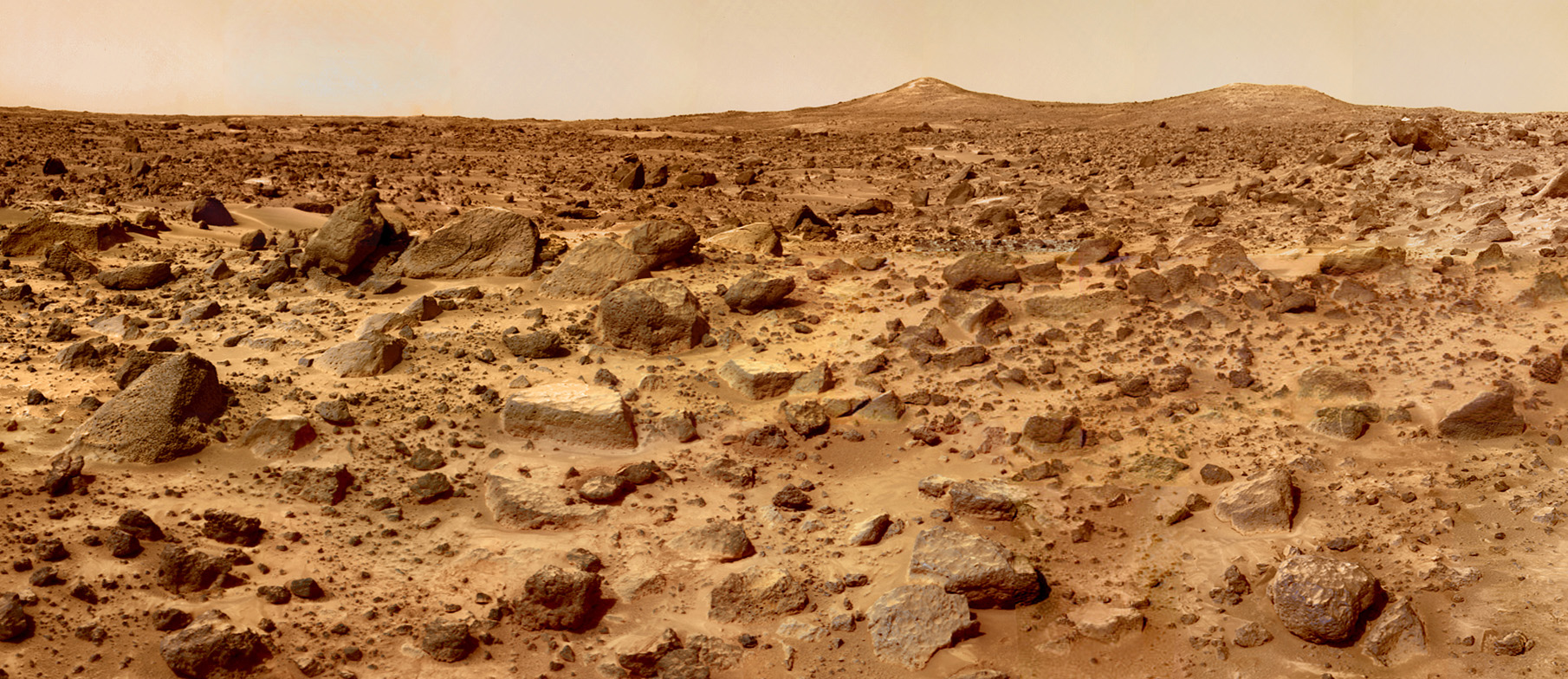 Is There Life on Mars? Don’t Bet Against It