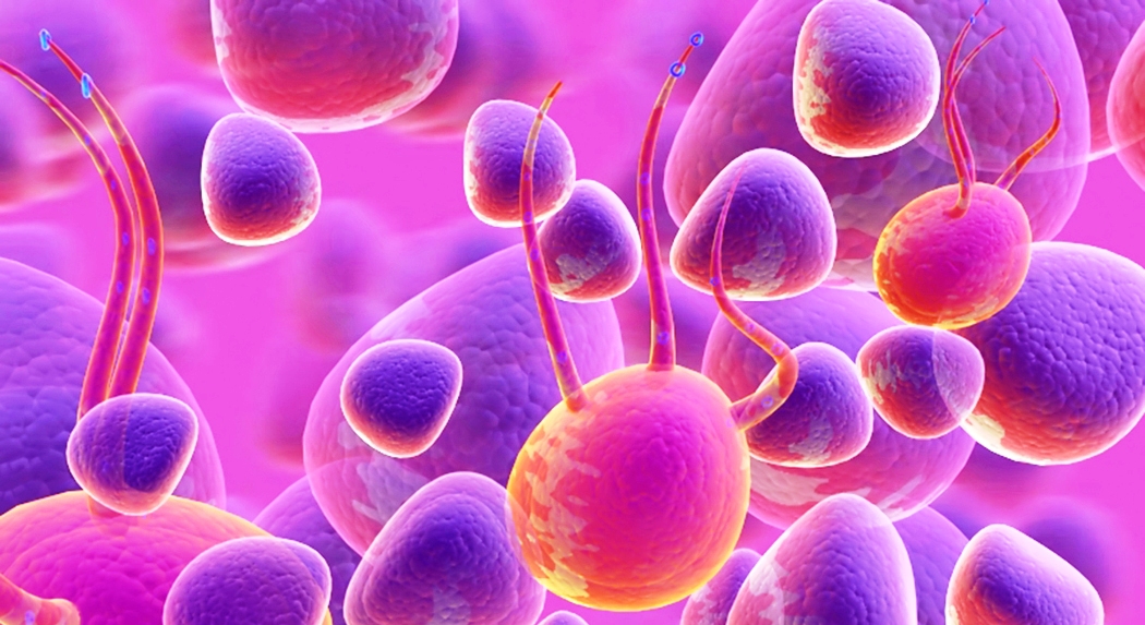 Israeli Doctor Creates Stem-Cells from Animals