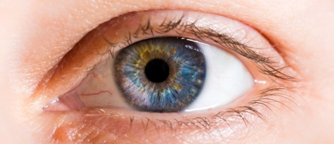 Israeli Bionic Contact Lenses Turn Touch into Vision