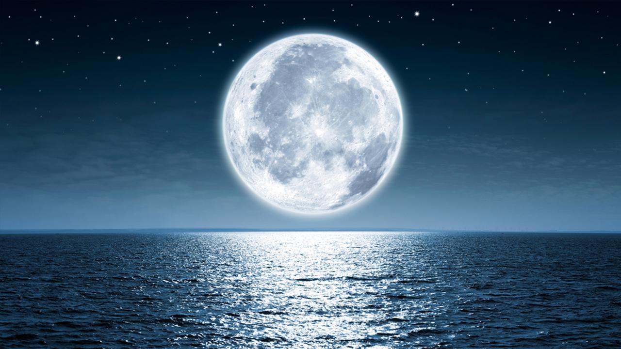 Israeli Team Finalist in International Race to Moon