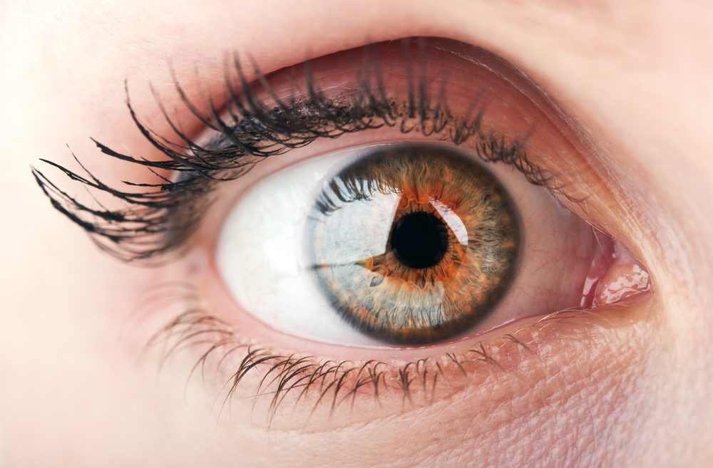Israeli Company Presents New Artificial Cornea