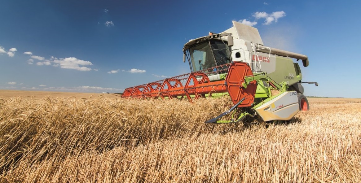 Model Farm in Israel to Help Global Innovation