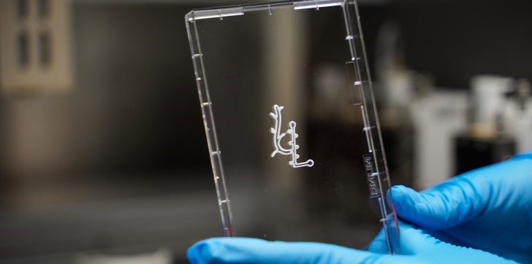 Israel’s Technion Launches Living Tissue Printing Center