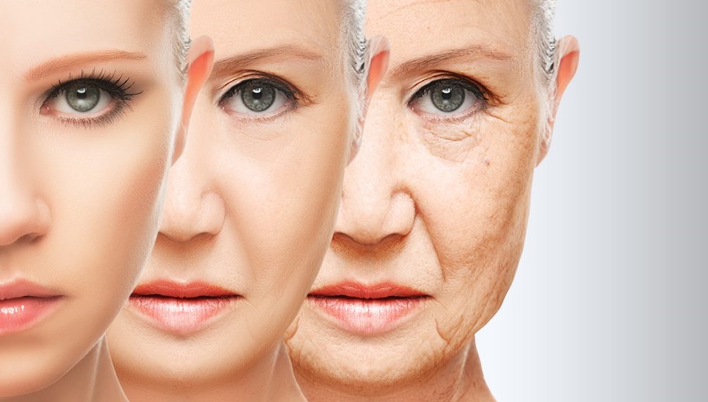 Israel Fast Becoming World Hub of Aging Industry